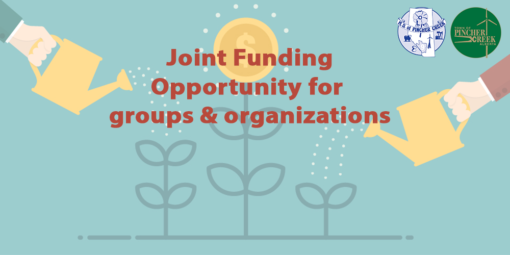 Council Grant Funding Program for   Non Profit Groups and Organizations